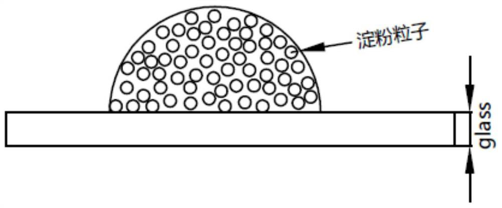 Starch modified UV adhesive and preparation method thereof