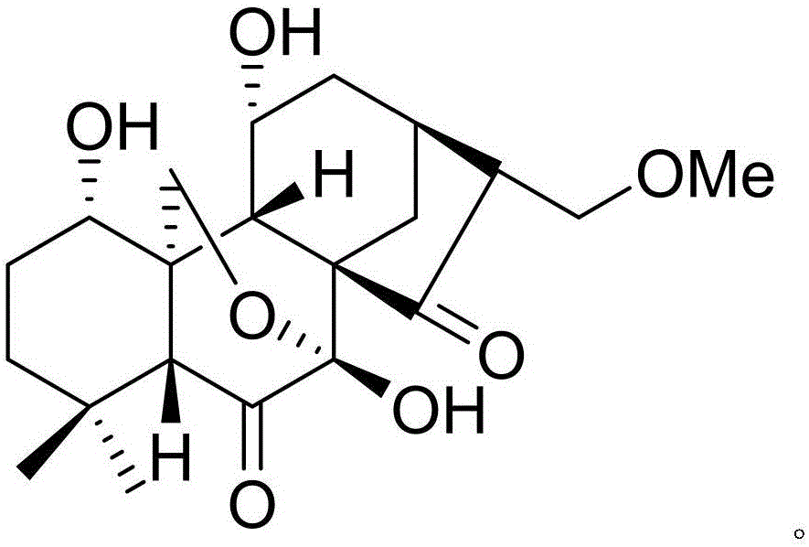 Ampeloptin medicine composition and application thereof to biological medicine