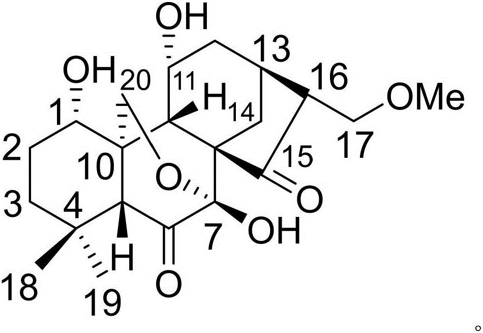 Ampeloptin medicine composition and application thereof to biological medicine