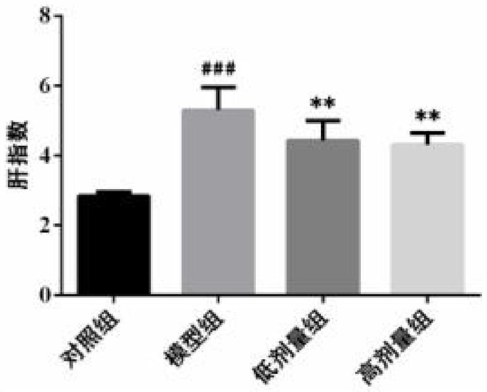 A traditional Chinese medicine composition capable of alleviating non-alcoholic steatohepatitis, its preparation method and product