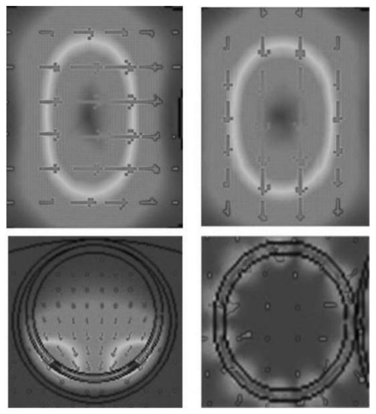 High-birefringence hollow-core anti-resonance optical fiber based on resonant coupling effect enhancement