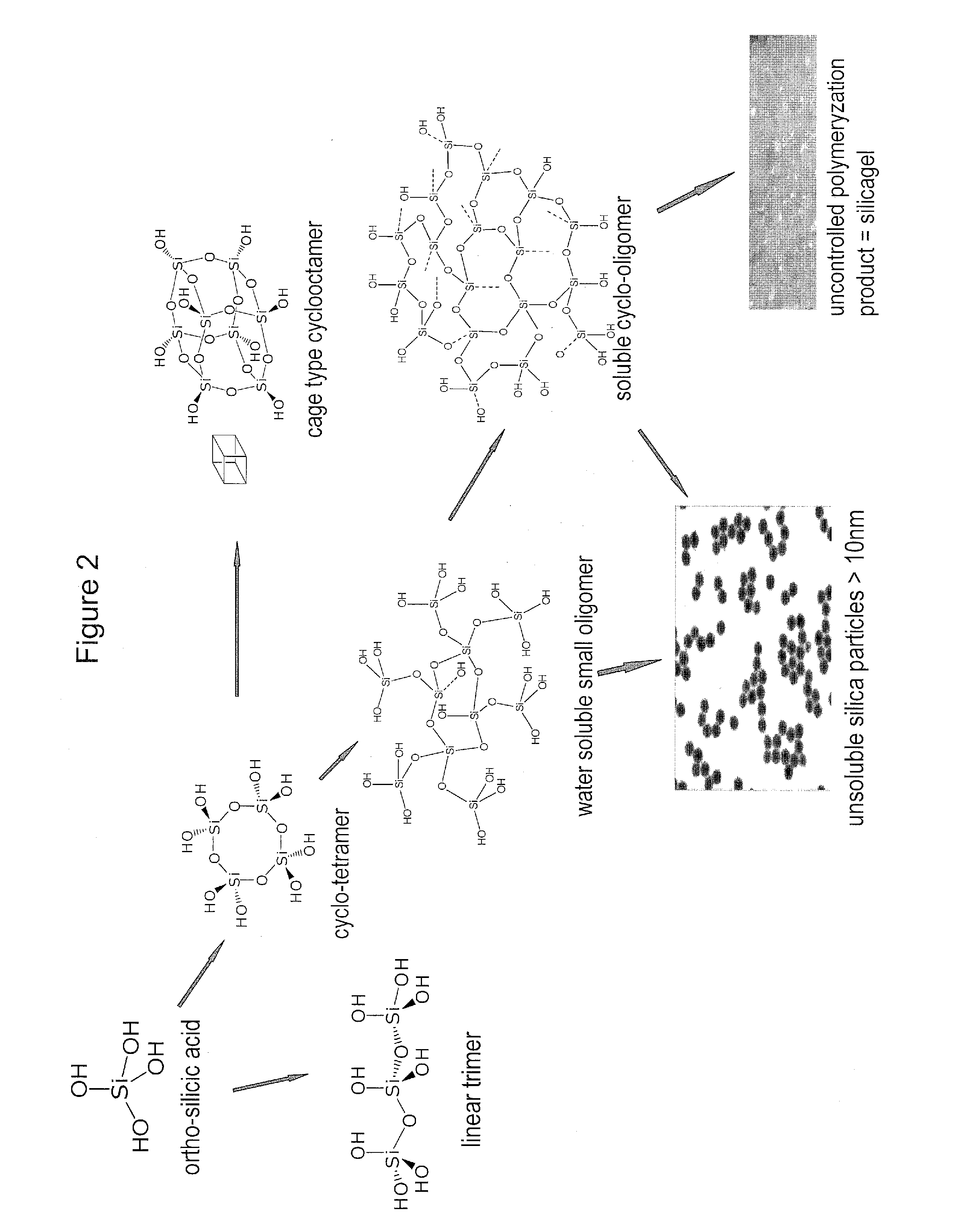 Biologically active silicic acid