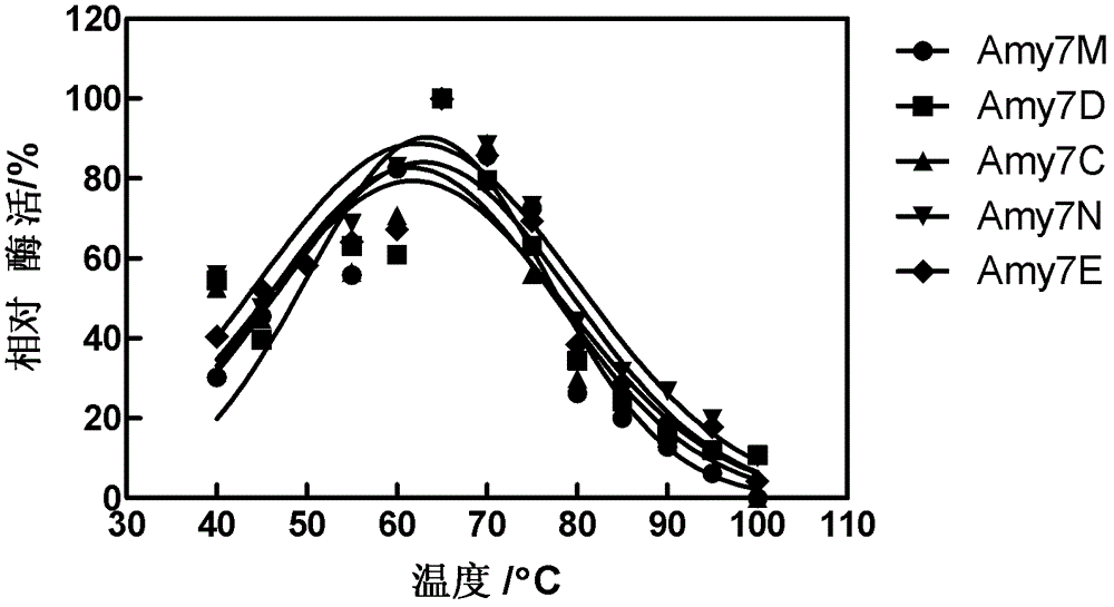 Alpha-amylase truncated body and application thereof