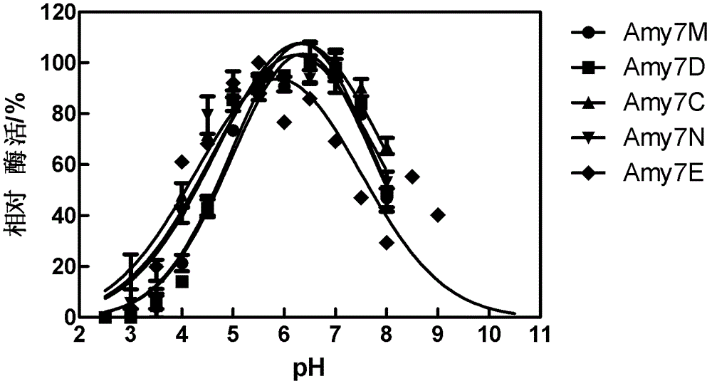 Alpha-amylase truncated body and application thereof