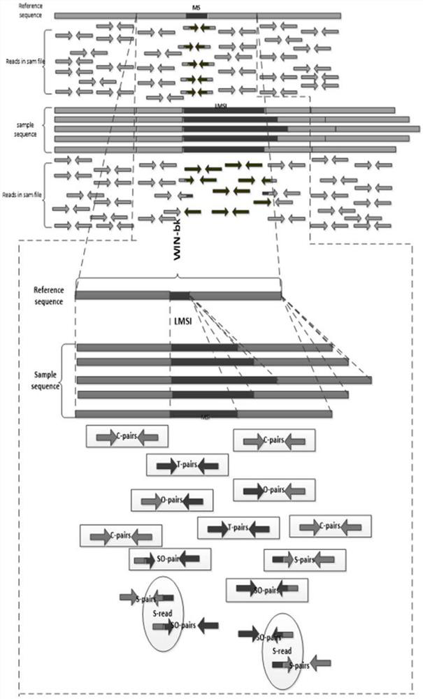 A method for estimating the wide-area length distribution of genomic microsatellites considering the factor of tumor purity