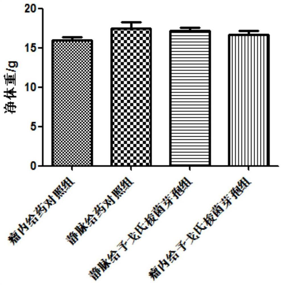 Application of combination of clostridium ghonii and tumor angiogenesis inhibitor