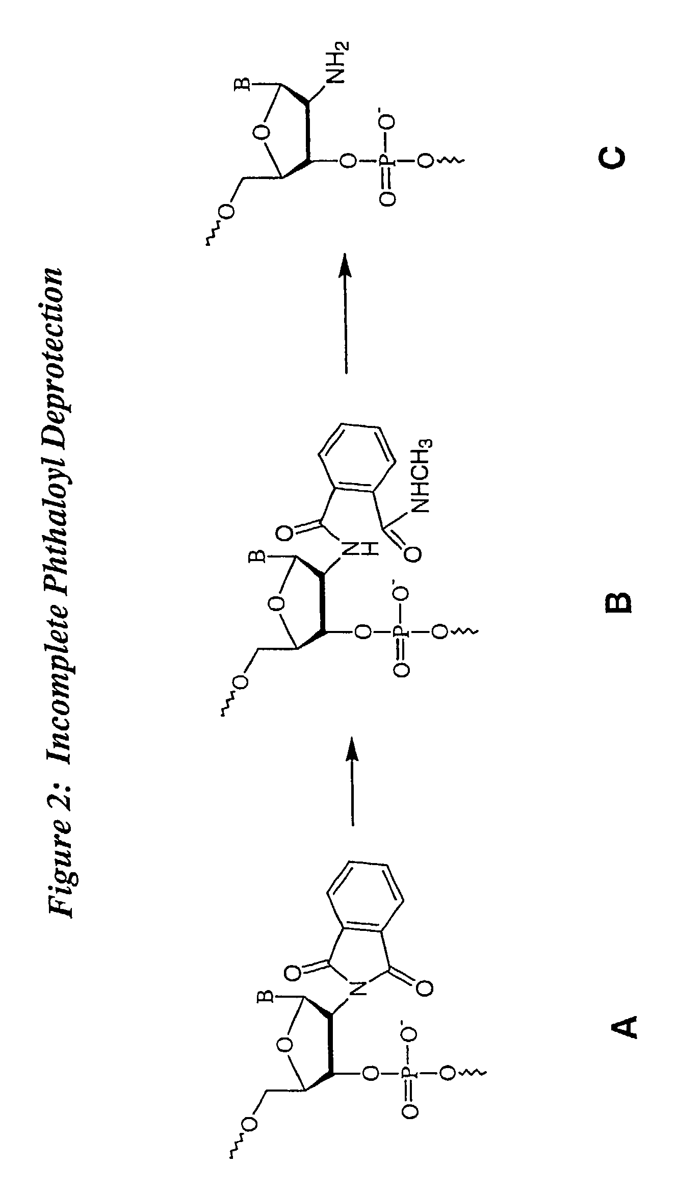 Deprotection and purification of oligonucleotides and their derivatives