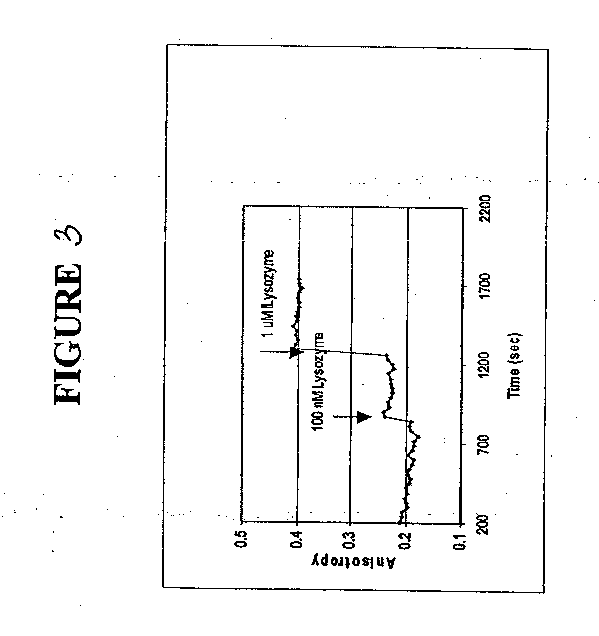 Fluorescence polarization assay