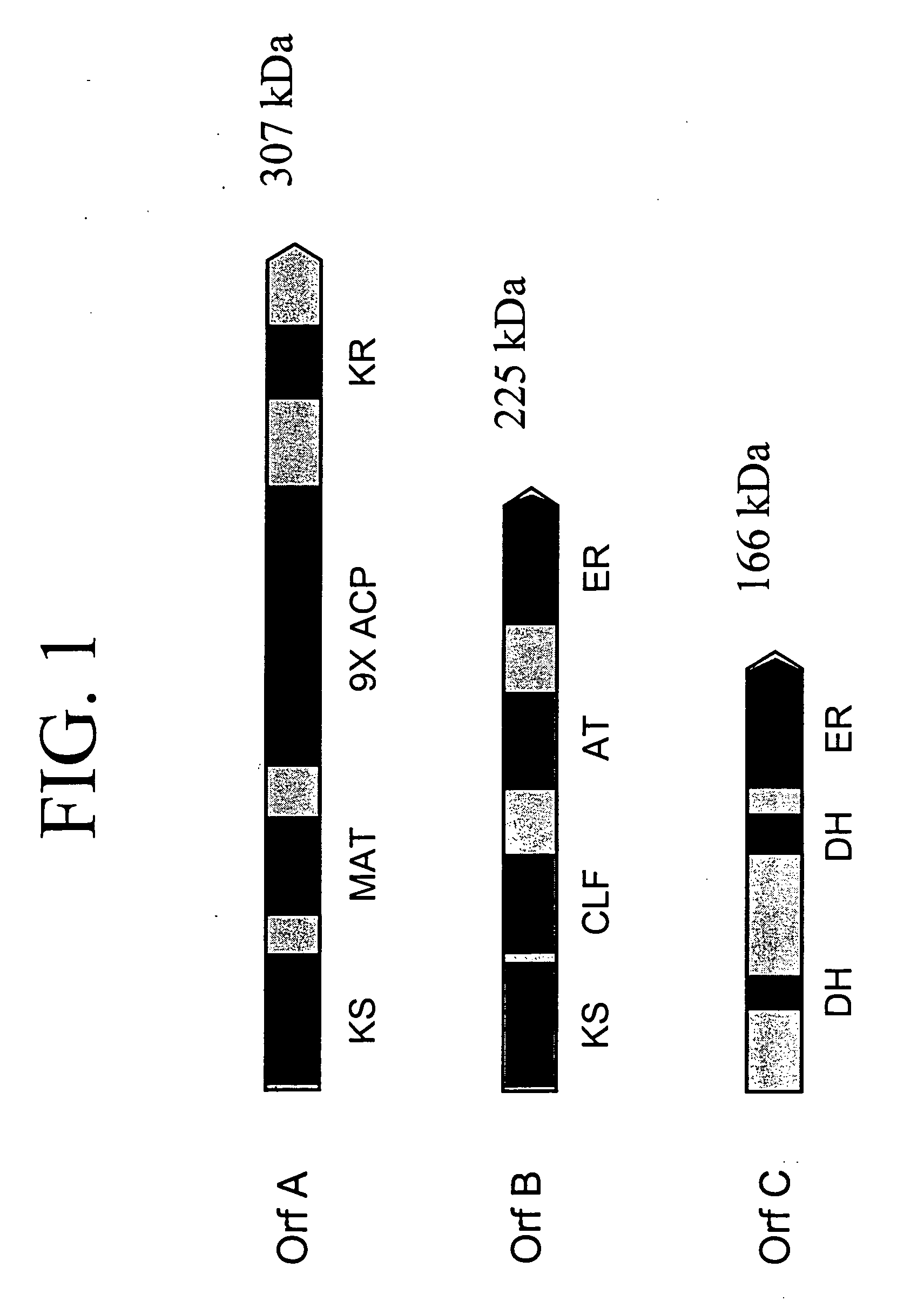 Pufa polyketide synthase systems and uses thereof