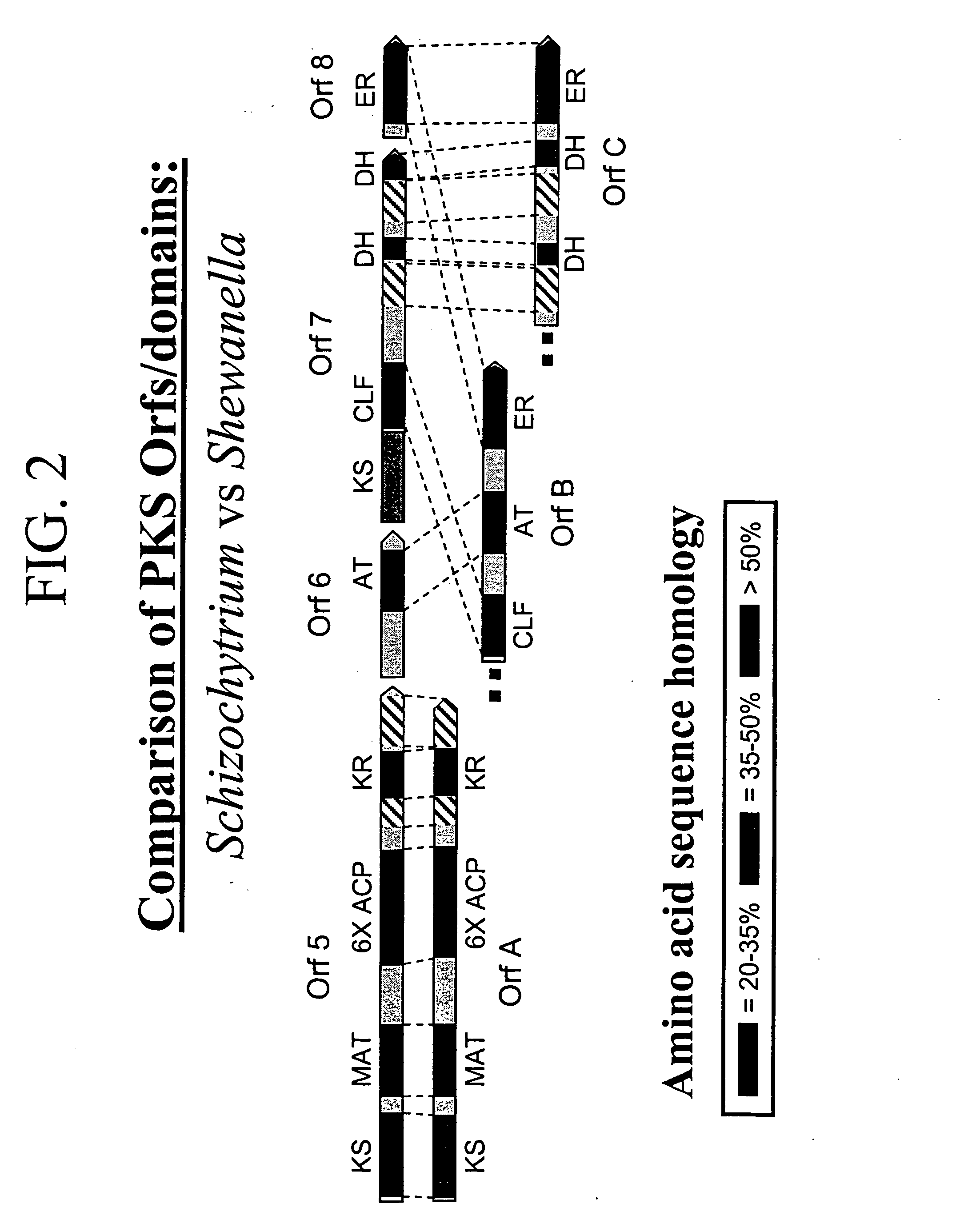 Pufa polyketide synthase systems and uses thereof