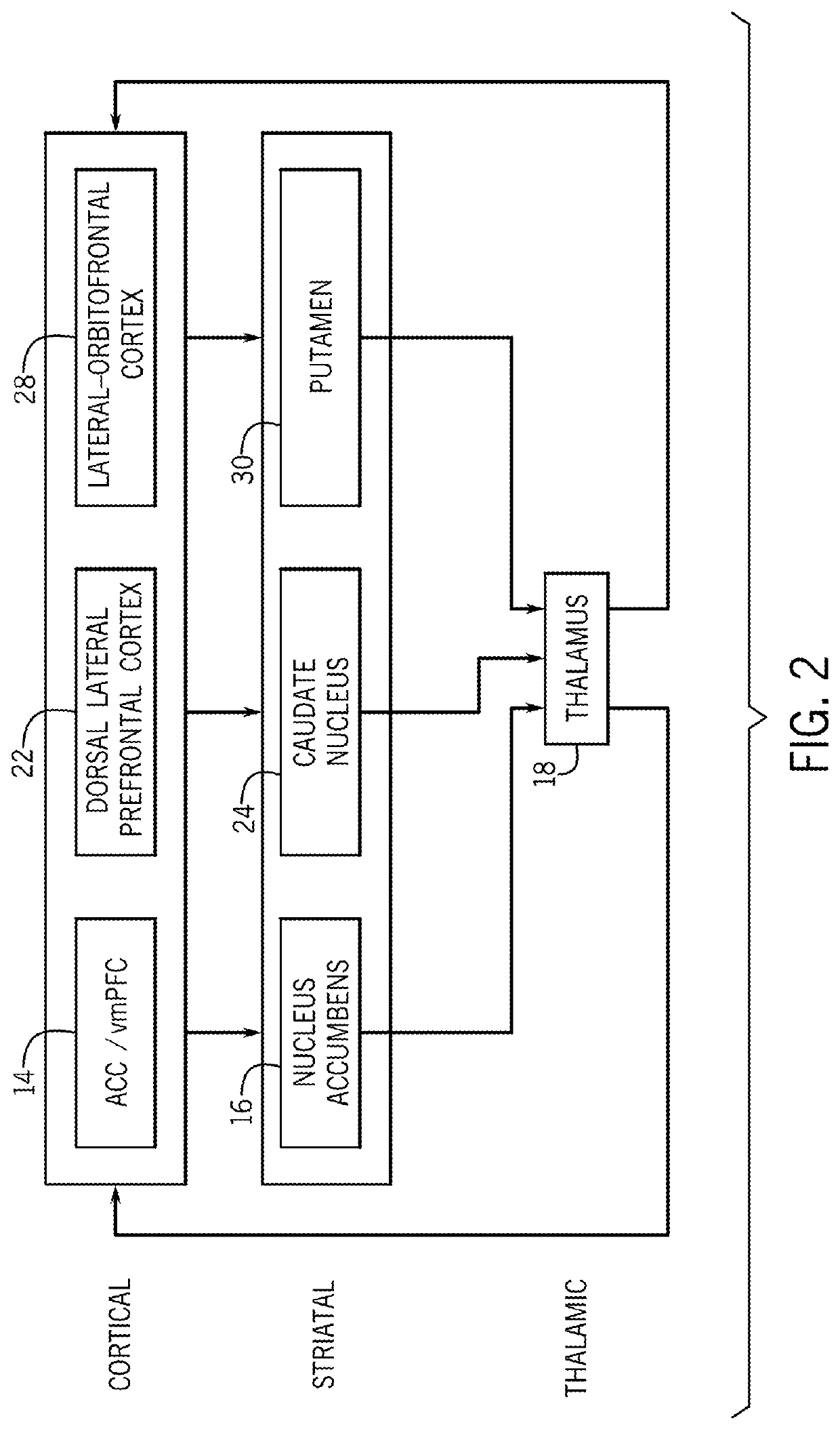 Systems and methods for treating mental and neurological disorders involving abnormally high brain connectivity