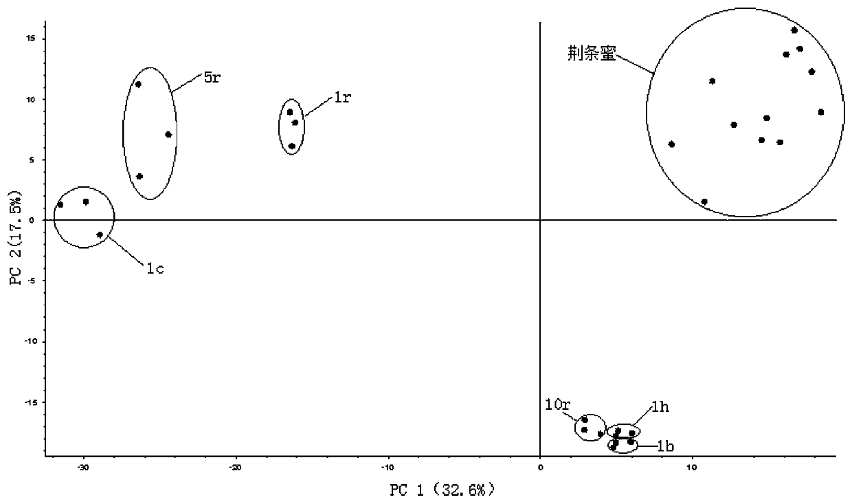 An analytical method for distinguishing chattia honey and syrup adulterated chattia honey