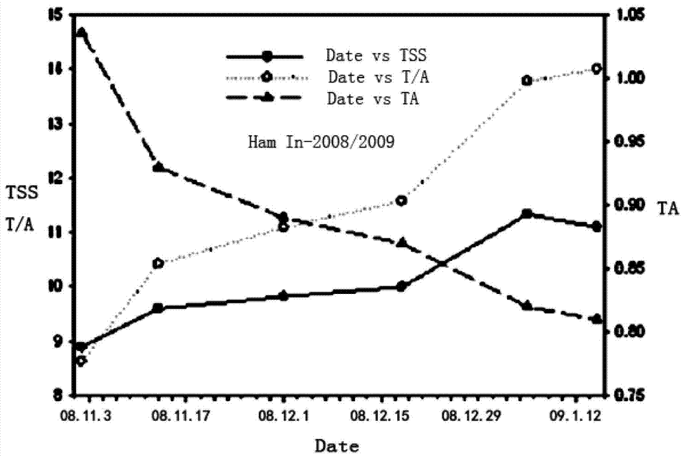 A method and system for high-quality harvesting decision-making of citrus fruits