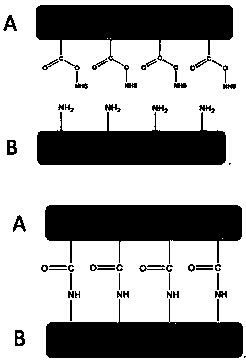 Absorbable and attachable hemostatic sponge and preparation method thereof