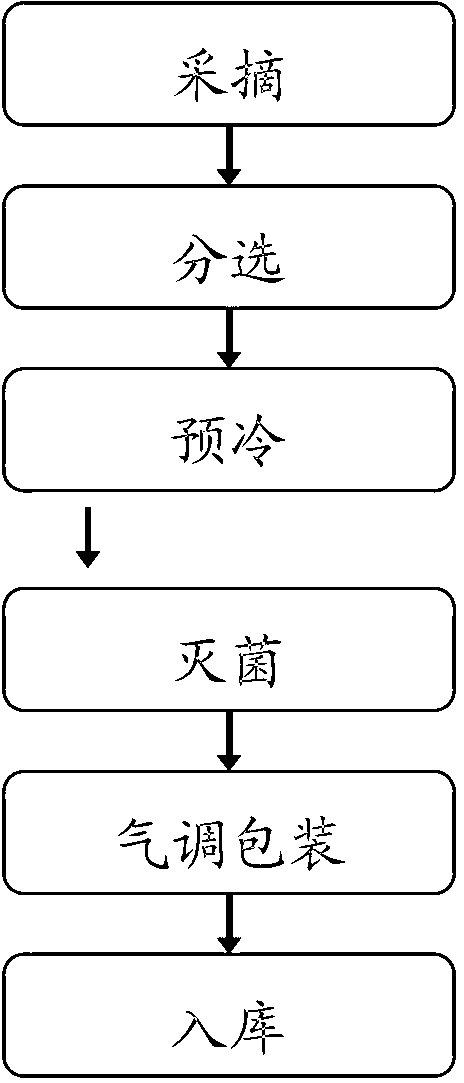 Modified atmosphere preservation method of spinach