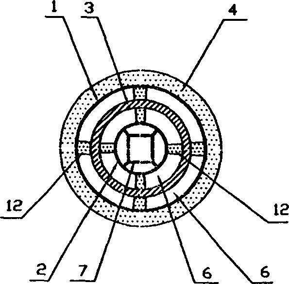 Discharge tube element which produce ozone