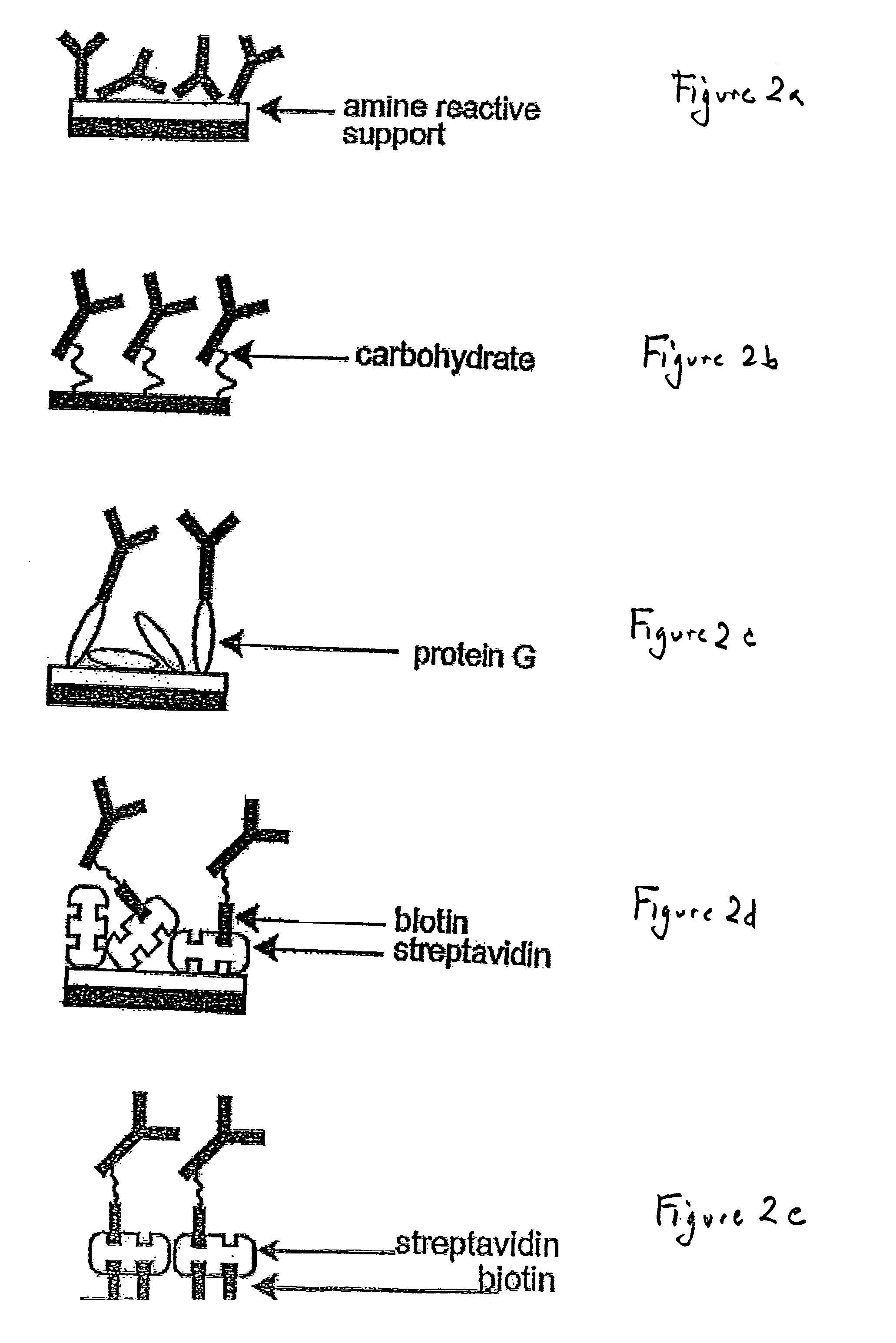 Piezoimmunosensor