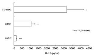 Preparation method of dendritic cell (DC) vaccine loaded with autologous tumor associated holoantigen