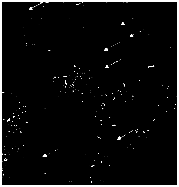 Recombinant virus-like granule and preparation method and application thereof