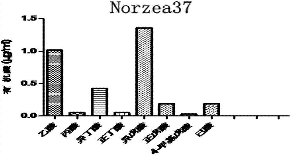 Probiotic and preparation method thereof