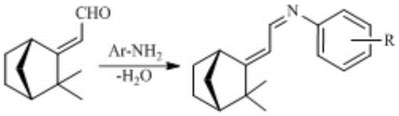 Method for synthesizing Schiff base compound containing camphenyl