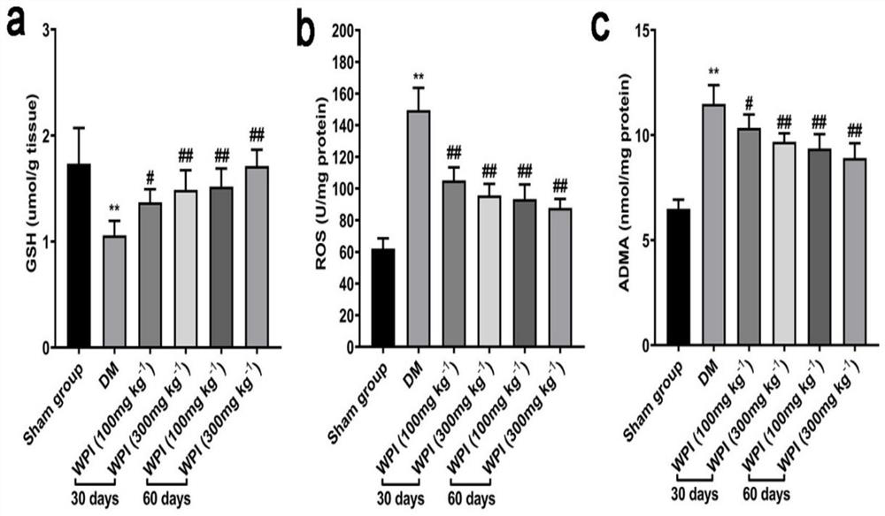 Application of cr-wpi in the treatment of erectile dysfunction