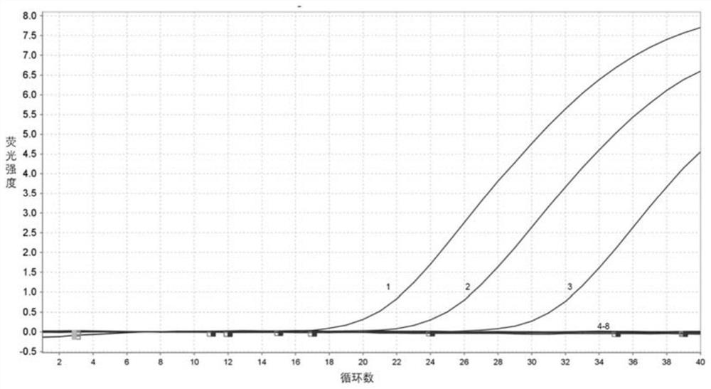 Avian reovirus TaqMan MGB probe real-time fluorescent quantitative PCR detection kit and application thereof