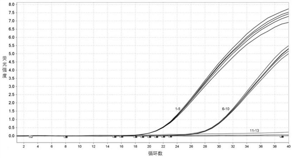 Avian reovirus TaqMan MGB probe real-time fluorescent quantitative PCR detection kit and application thereof