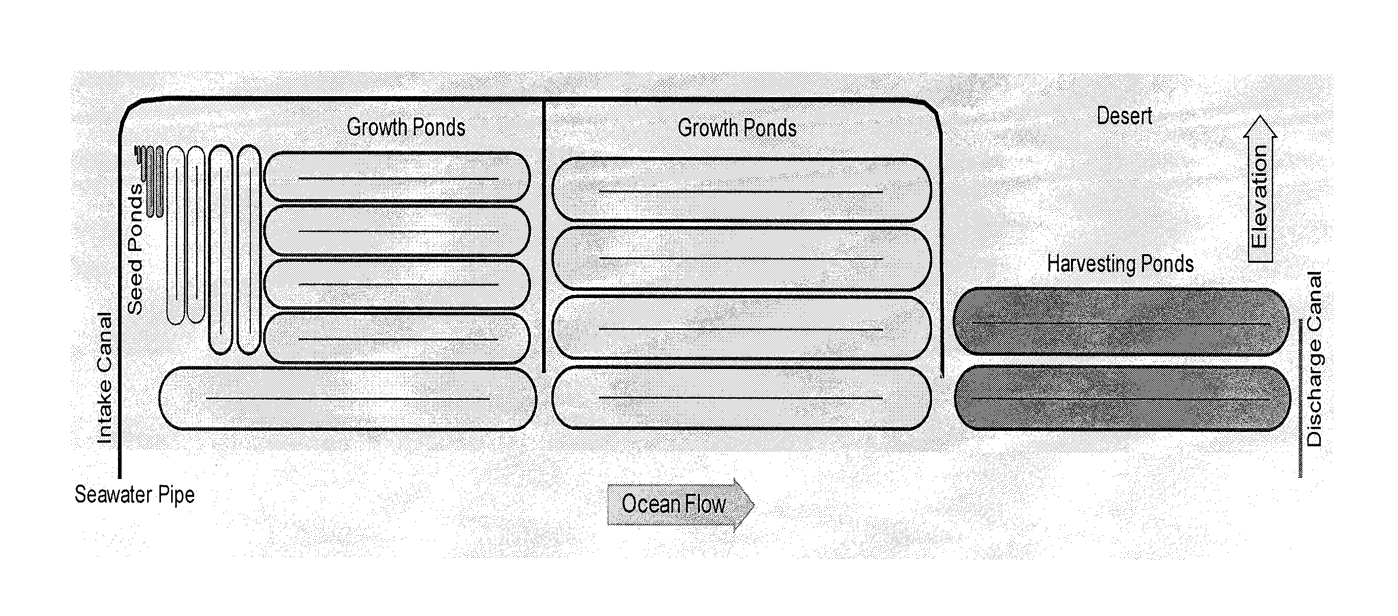 Method of culturing algae