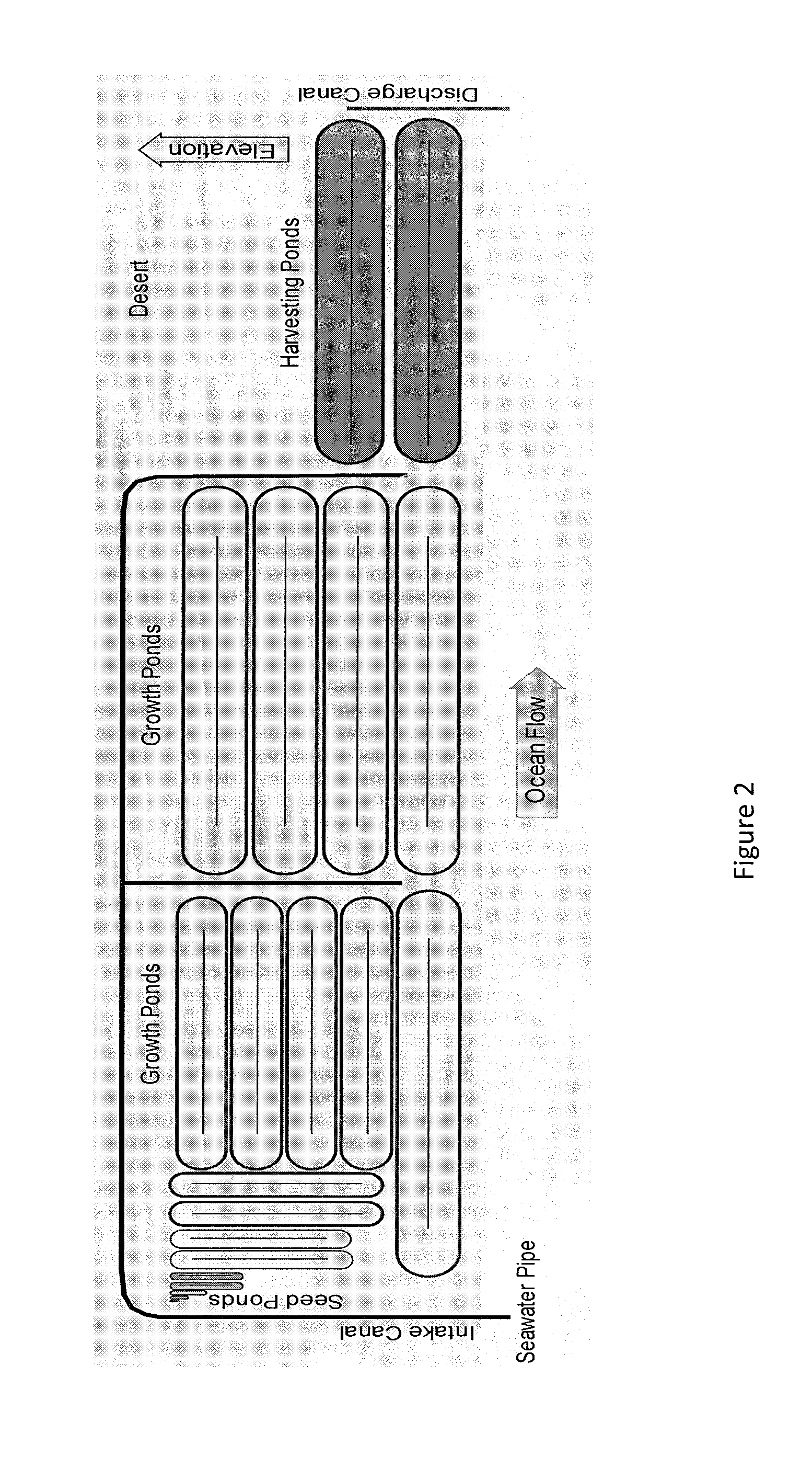 Method of culturing algae