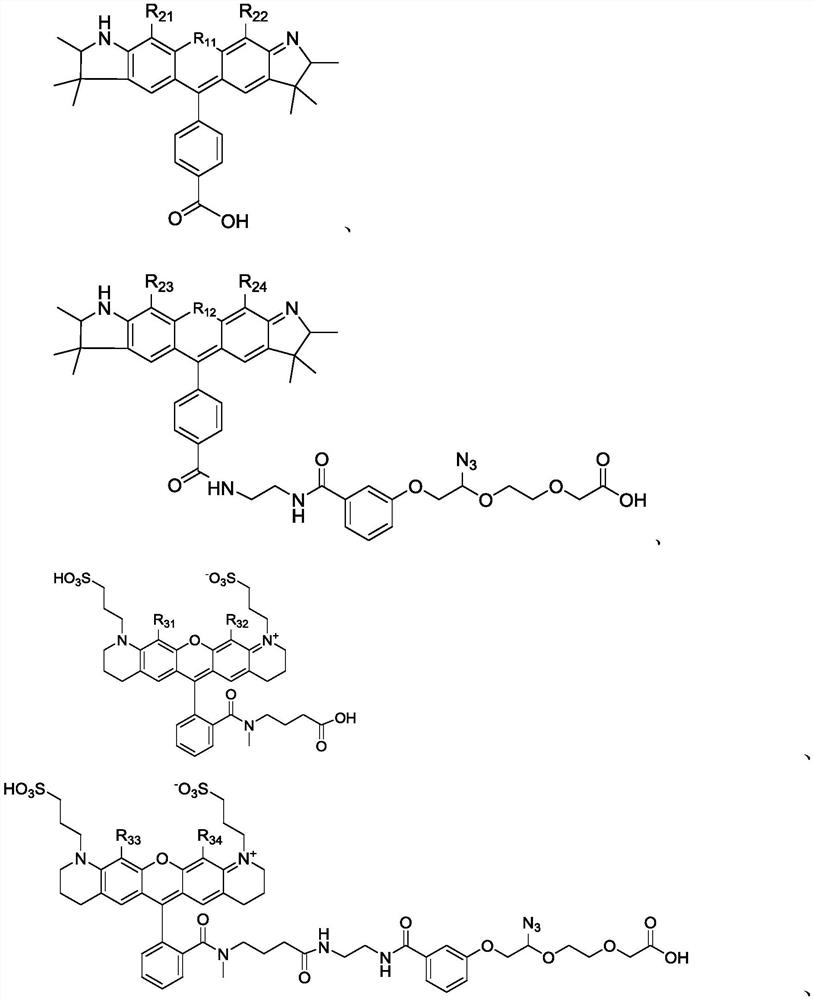 Succinimide esters and methods of making, treating and detecting same