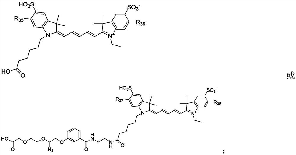 Succinimide esters and methods of making, treating and detecting same