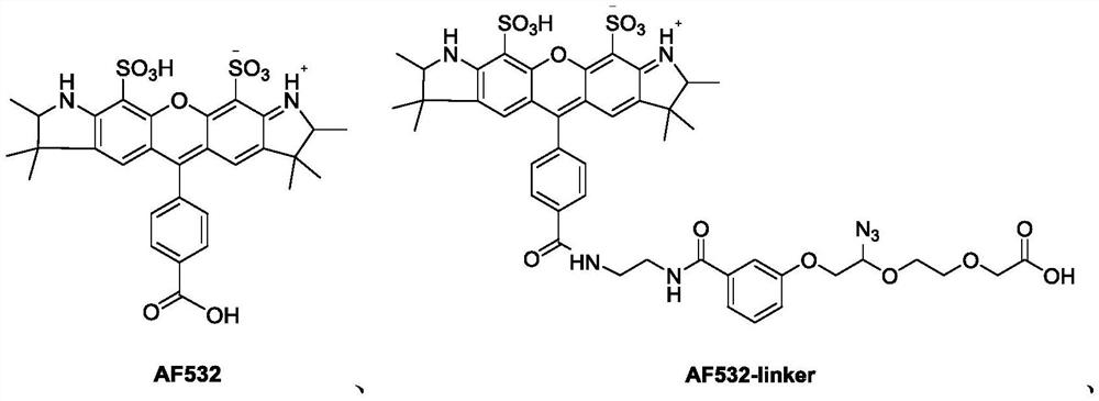 Succinimide esters and methods of making, treating and detecting same