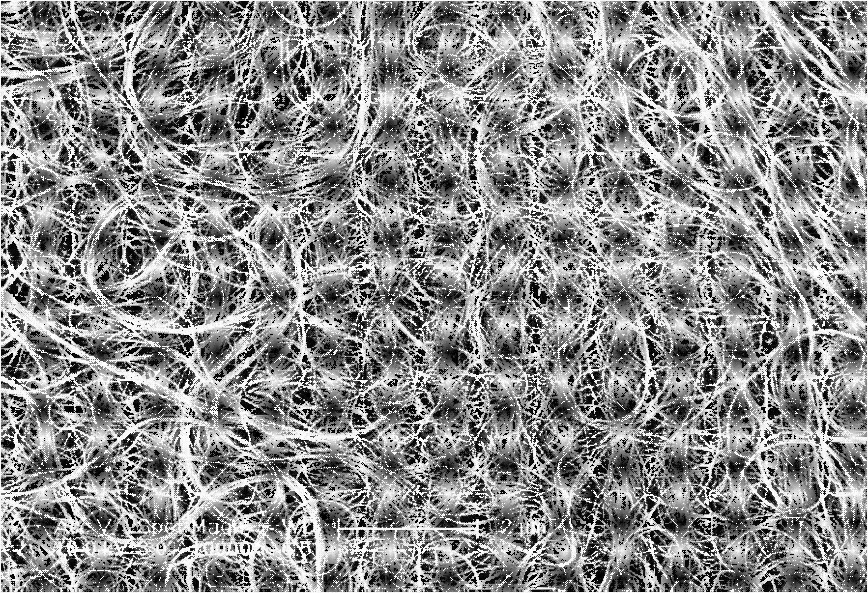 Composite structure of carbon nano tube