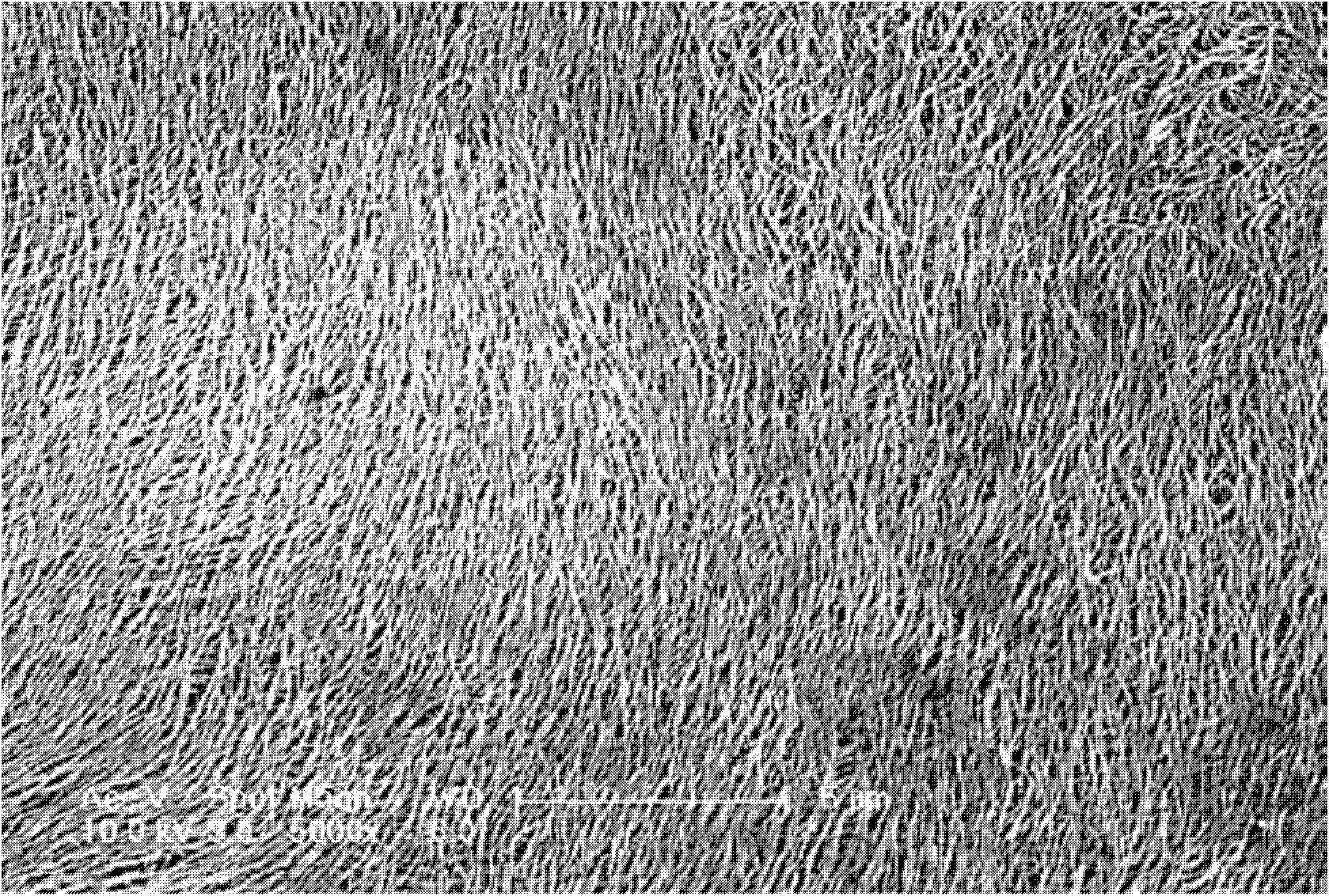 Composite structure of carbon nano tube