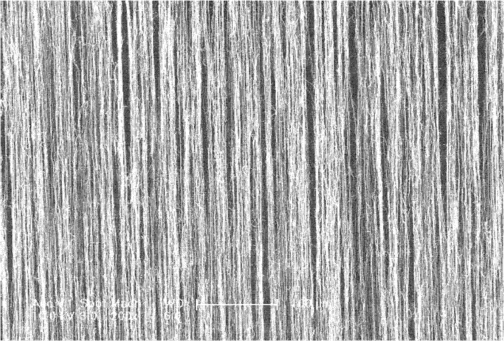 Composite structure of carbon nano tube