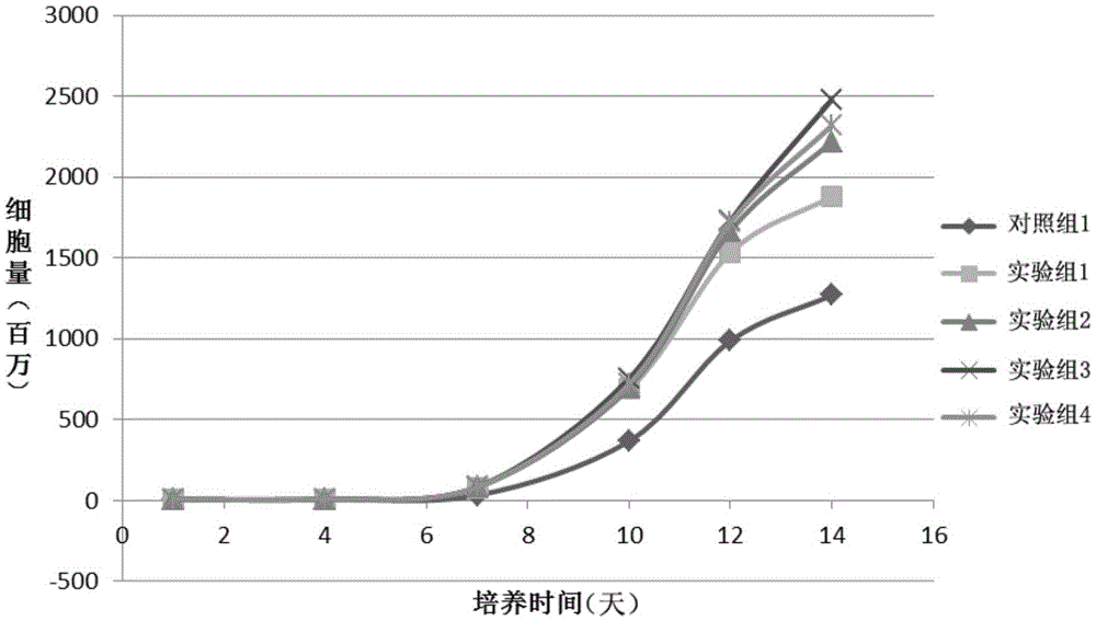 Culture method and serum-free culture medium composition of NK cells