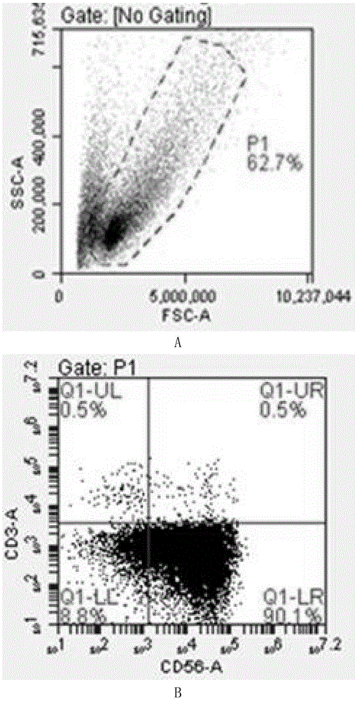 Culture method and serum-free culture medium composition of NK cells