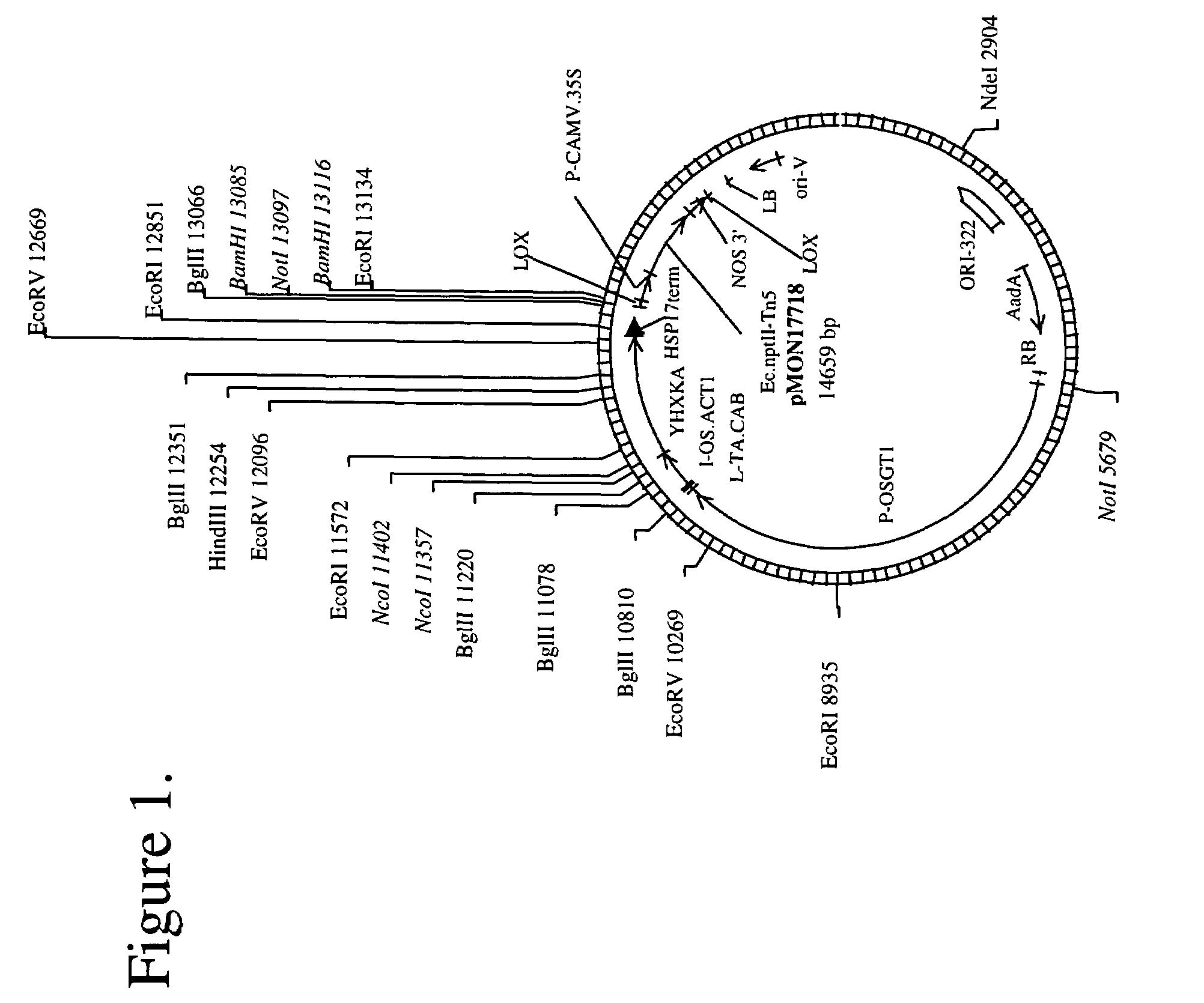 Method of increasing yield in a plant and genes useful therefor