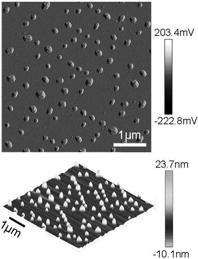 Method for modifying ligands on surfaces of cell vesicles