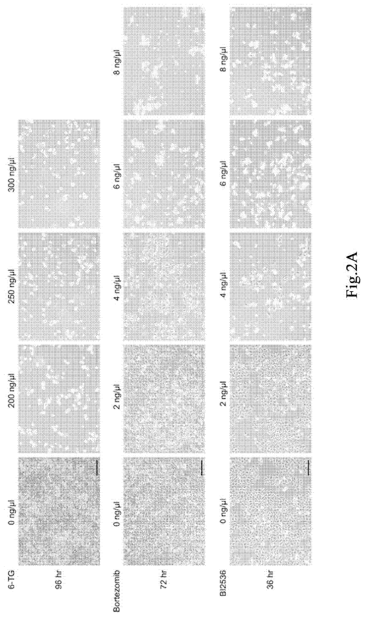 Method for identifying functional elements