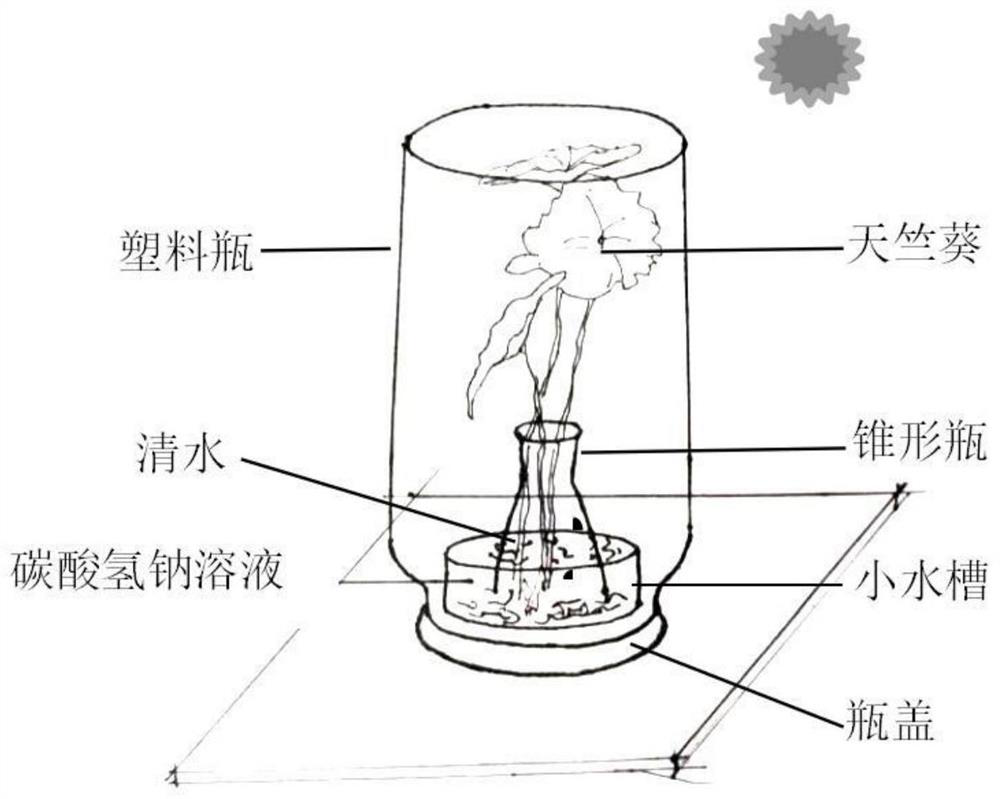 Plant photosynthesis teaching experiment method