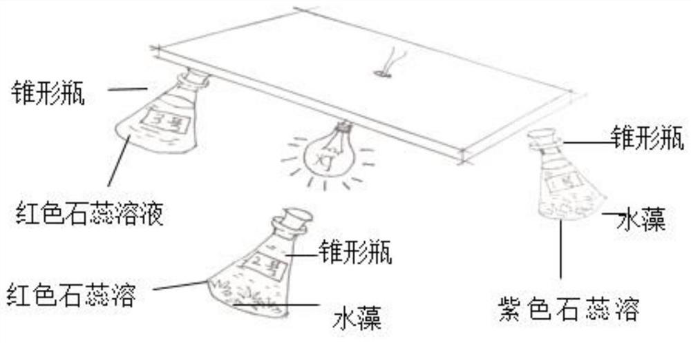 Plant photosynthesis teaching experiment method