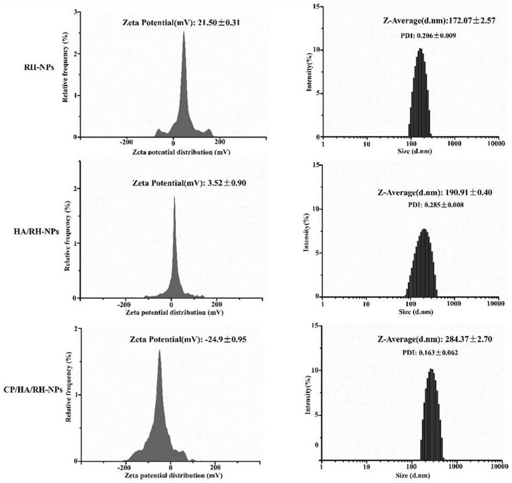 A kind of lactoferrin nanoparticle carrying rhein and its preparation method and use