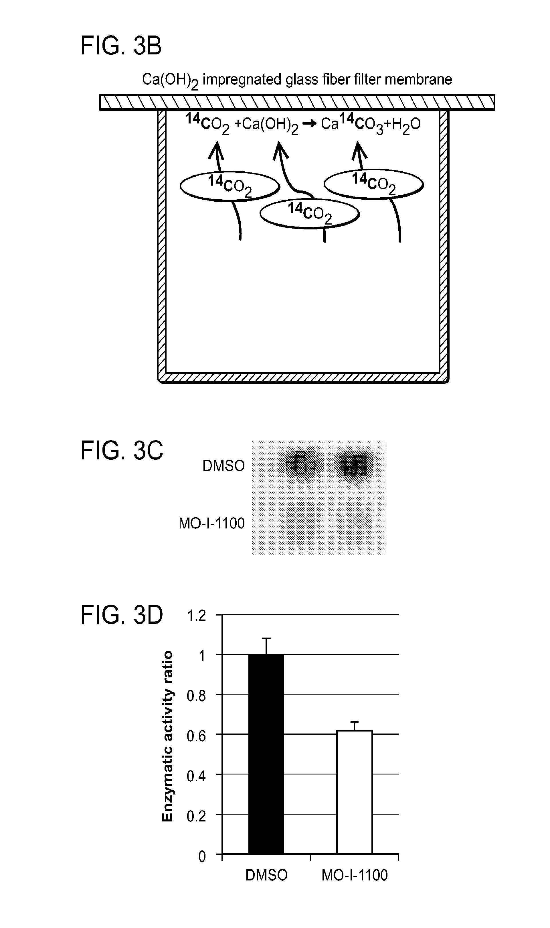 Inhibitors of Beta-Hydroxylase for Treatment of Cancer