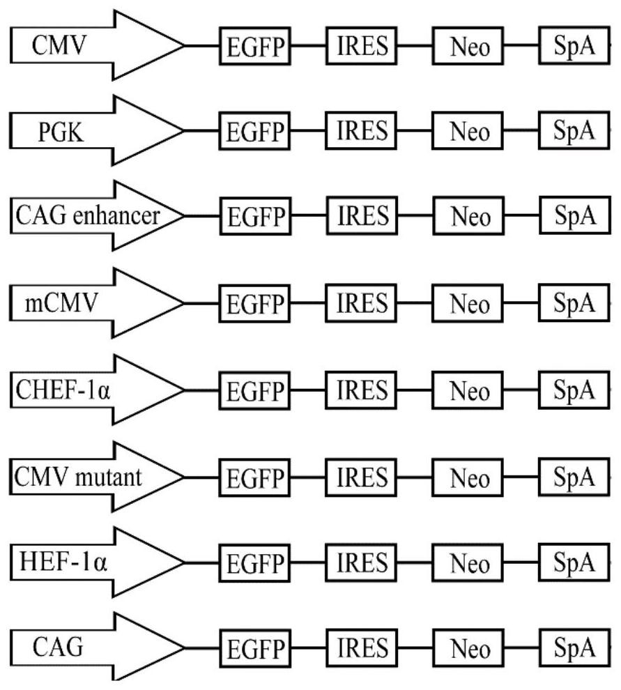 Culture medium additive for recombinant protein expression of humanized HEK293 cell line, recombinant hepatitis B vaccine and expression method