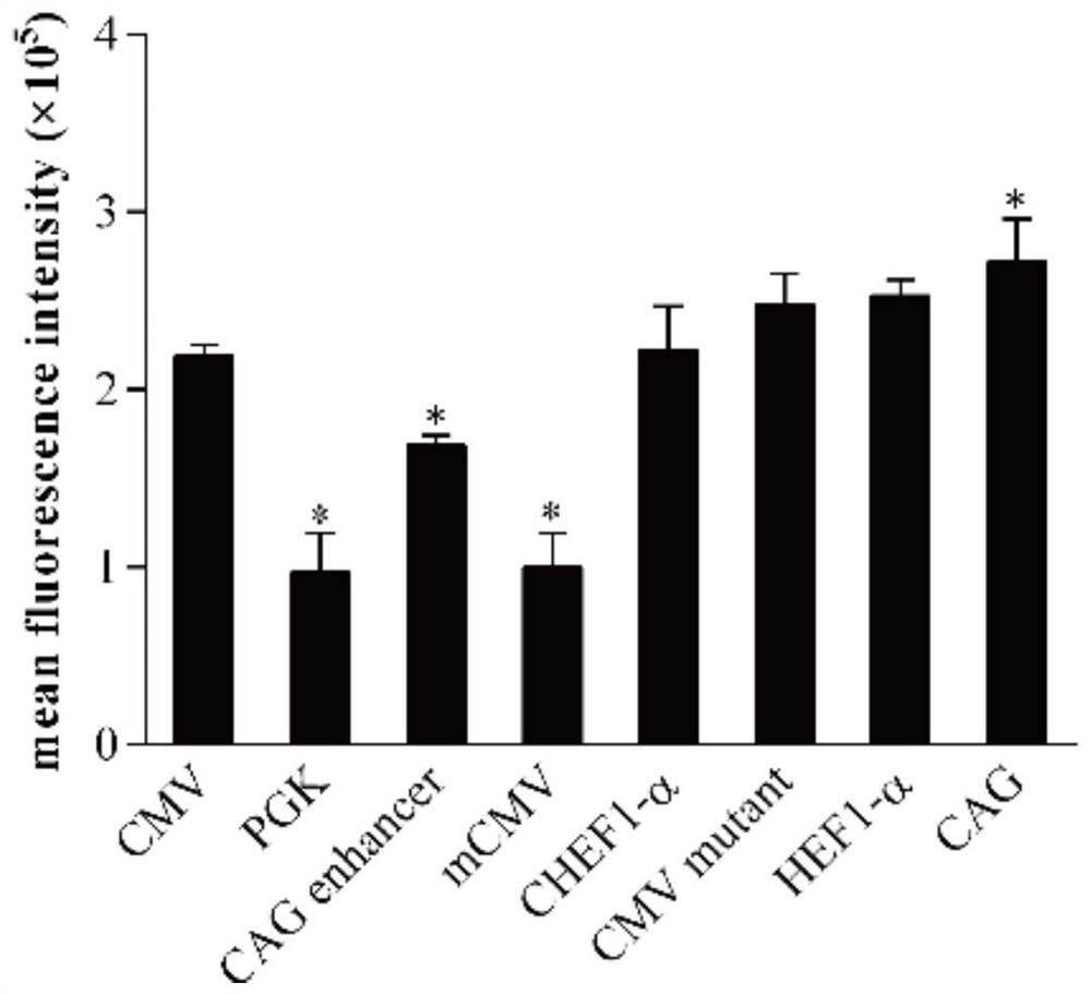 Culture medium additive for recombinant protein expression of humanized HEK293 cell line, recombinant hepatitis B vaccine and expression method