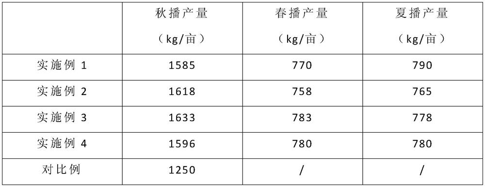 Annual supply planting method for brassica campestris