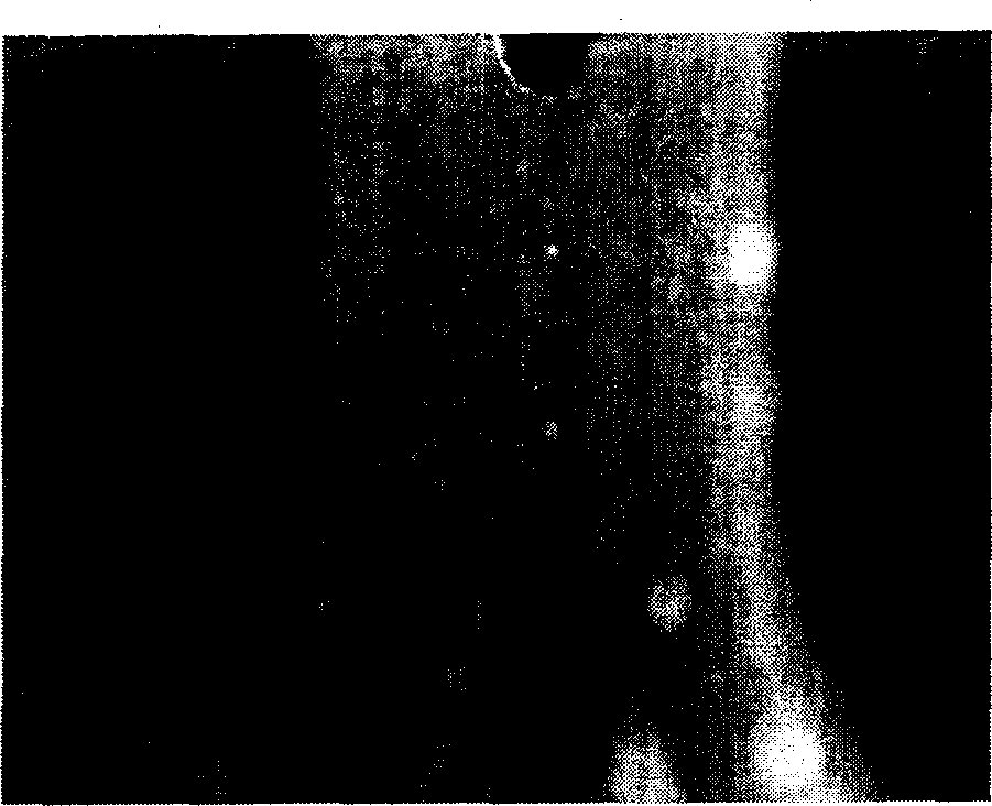 Drug coating-spraying method for drug eluting stent and spraying apparatus therefor