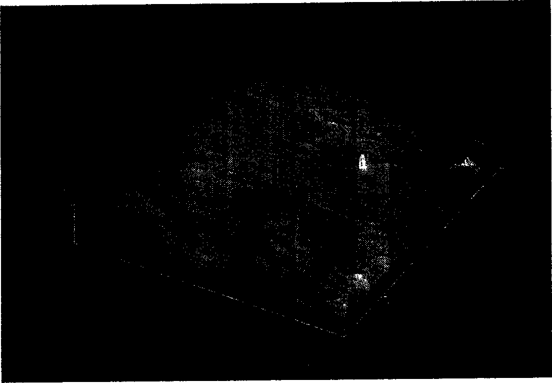 Drug coating-spraying method for drug eluting stent and spraying apparatus therefor